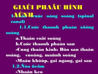 GIAÛI PHAÃU HÌNH
AÛNH
1.Caáu truùc oáng soáng (spinal
canal)
1.1.Caùc thaønh phaàn xöông
soáng
a.Thaân coät soáng
b.Caùc thaønh phaàn sau
-Cung thaàn kinh: Bôø sau thaân
soáng, cuoáng, maûnh soáng
-Maáu khôùp, gai ngang, gai sau
1.2.Ñóa ñeäm
-Nhaân keo

 