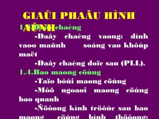 GIAÛI PHAÃU HÌNH
1.3.Daây chaèng
AÛNH

-Daây chaèng vaøng: dính
vaøo maûnh
soáng vaø khôùp
maët
-Daây chaèng doïc sau (PLL).
1.4.Bao maøng cöùng
-Taïo bôûi maøng cöùng
-Môõ ngoaøi maøng cöùng
bao quanh
-Ñöôøng kính tröôùc sau bao

 