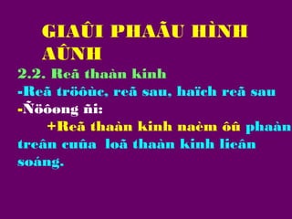 GIAÛI PHAÃU HÌNH
AÛNH
2.2. Reã thaàn kinh
-Reã tröôùc, reã sau, haïch reã sau
-Ñöôøng ñi:
+Reã thaàn kinh naèm ôû phaàn
treân cuûa loã thaàn kinh lieân
soáng.

 