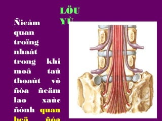 LÖU
YÙ

Ñieåm
quan
troïng
nhaát
trong khi
moâ
taû
thoaùt vò
ñóa ñeäm
laø
xaùc
ñònh quan

 