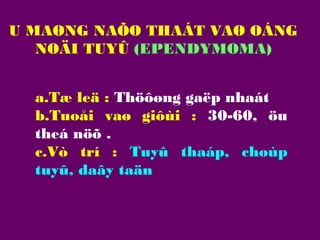 U MAØNG NAÕO THAÁT VAØ OÁNG
NOÄI TUYÛ (EPENDYMOMA)
a.Tæ leä : Thöôøng gaëp nhaát
b.Tuoåi vaø giôùi : 30-60, öu
theá nöõ .
c.Vò trí : Tuyû thaáp, choùp
tuyû, daây taän

 