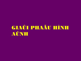 GIAÛI PHAÃU HÌNH
AÛNH

 