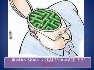 9/3/2013 MRI Brain by Sudil 74
HUMAN BRAIN :- REALLY A MAZE !!!!!!
  
 