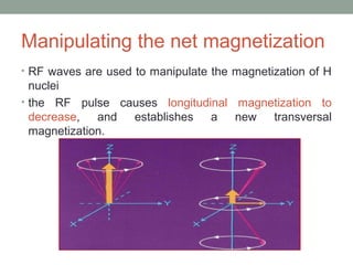 Manipulating the net magnetization
• RF waves are used to manipulate the magnetization of H
nuclei
• the RF pulse causes longitudinal magnetization to
decrease, and establishes a new transversal
magnetization.
 