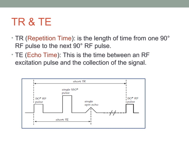 MRI brain; Basics and Radiological Anatomy | PPT | Physics | Science