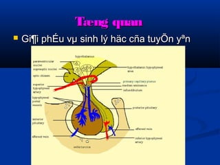 TTæænngg qquuaann 
 GGii¶ii pphhÉÉuu vvμμ ssiinnhh llýý hhääcc ccññaa ttuuyyÕÕnn yyªnn 
 