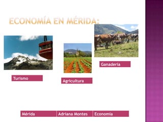 Economía en Mérida: