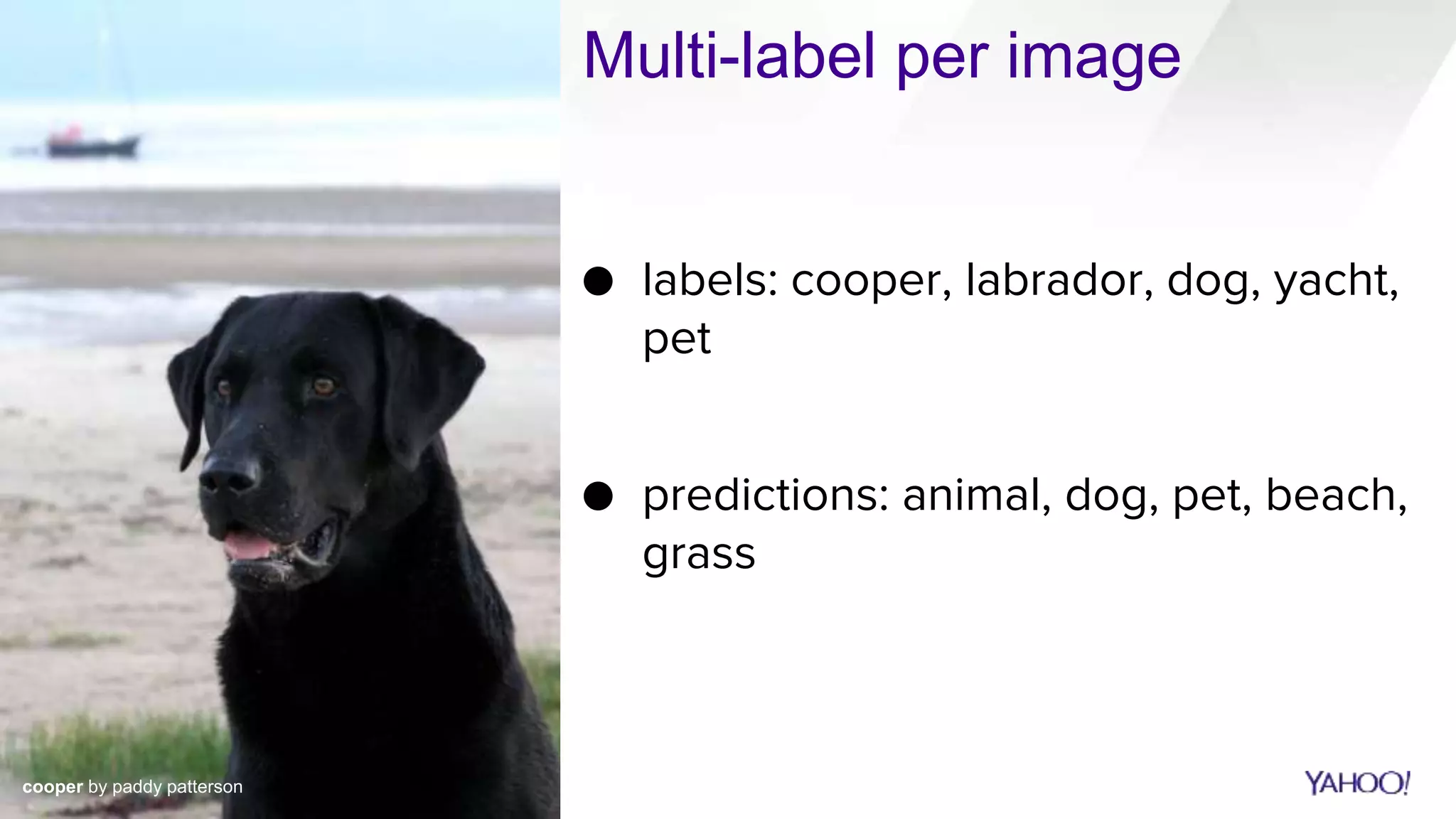 Multi-label per image
cooper by paddy patterson
● labels: cooper, labrador, dog, yacht,
pet
● predictions: animal, dog, pet, beach,
grass
 