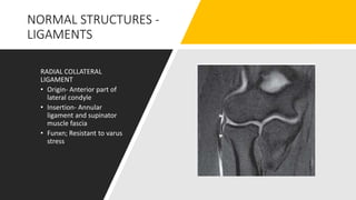 Raidal Condyle MR ANATOMY OF WRIST AND ELBOW RV | PPTX