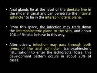 • Anal glands lie at the level of the dentate line in
the midanal canal and can penetrate the internal
sphincter to lie in the intersphincteric plane.
• From this space, the infection may track down
the intersphincteric plane to the skin, and about
70% of fistulas behave in this way.
• Alternatively, infection may pass through both
layers of the anal sphincter (trans-sphincteric
fistulization) to enter the ischiorectal fossa; this
development pattern occurs in about 20% of
cases.
 