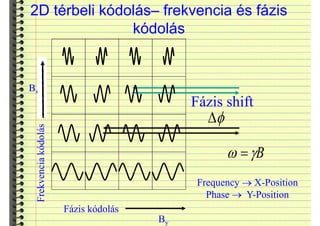 2D térbeli kódolás– frekvencia és fázis
kódolás
Bx
Fázis kódolás
I'
Fázis shift
BJZ
Frequency o X-Position
Phase o Y-Position
By
Frekvenciakódolás
 