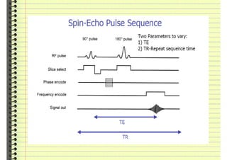 Mri  fizikai_alapok2013