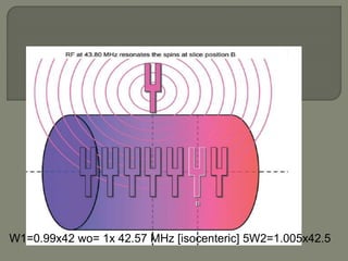 W1=0.99x42 wo= 1x 42.57 MHz [isocenteric] 5W2=1.005x42.5
 