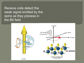 Receive coils detect the
weak signal emitted by the
spins as they precess in
the B0 field.
 