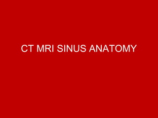CT MRI SINUS ANATOMY
 
