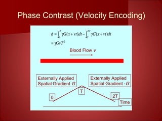 Phase Contrast (Velocity Encoding)
Externally Applied
Spatial Gradient G
Externally Applied
Spatial Gradient -G
Blood Flow v
2
0
2
)()(
GvT
dtvtxGdtvtxG
T T
T
γ
γγφ
=
+−+= ∫ ∫
Time
T
2T0
 