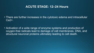 ACUTE STAGE: 12–24 Hours
• There are further increases in the cytotoxic edema and intracellular
Ca2+.
• Activation of a wide range of enzyme systems and production of
oxygen-free radicals lead to damage of cell membranes, DNA, and
structural neuronal proteins ultimately leading to cell death.
 