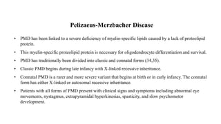 Pelizaeus-Merzbacher Disease
• PMD has been linked to a severe deficiency of myelin-specific lipids caused by a lack of proteolipid
protein.
• This myelin-specific proteolipid protein is necessary for oligodendrocyte differentiation and survival.
• PMD has traditionally been divided into classic and connatal forms (34,35).
• Classic PMD begins during late infancy with X-linked recessive inheritance.
• Connatal PMD is a rarer and more severe variant that begins at birth or in early infancy. The connatal
form has either X-linked or autosomal recessive inheritance.
• Patients with all forms of PMD present with clinical signs and symptoms including abnormal eye
movements, nystagmus, extrapyramidal hyperkinesias, spasticity, and slow psychomotor
development.
 