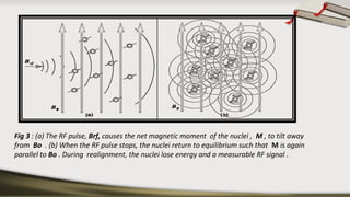 Fig 3 : (a) The RF pulse, Brf, causes the net magnetic moment of the nuclei , M , to tilt away
from Bo . (b) When the RF pulse stops, the nuclei return to equilibrium such that M is again
parallel to Bo . During realignment, the nuclei lose energy and a measurable RF signal .
 