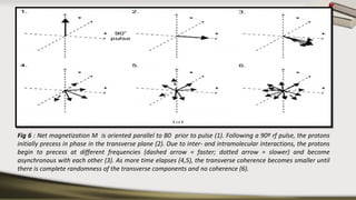 Fig 6 : Net magnetization M is oriented parallel to B0 prior to pulse (1). Following a 90º rf pulse, the protons
initially precess in phase in the transverse plane (2). Due to inter- and intramolecular interactions, the protons
begin to precess at different frequencies (dashed arrow = faster; dotted arrow = slower) and become
asynchronous with each other (3). As more time elapses (4,5), the transverse coherence becomes smaller until
there is complete randomness of the transverse components and no coherence (6).
 