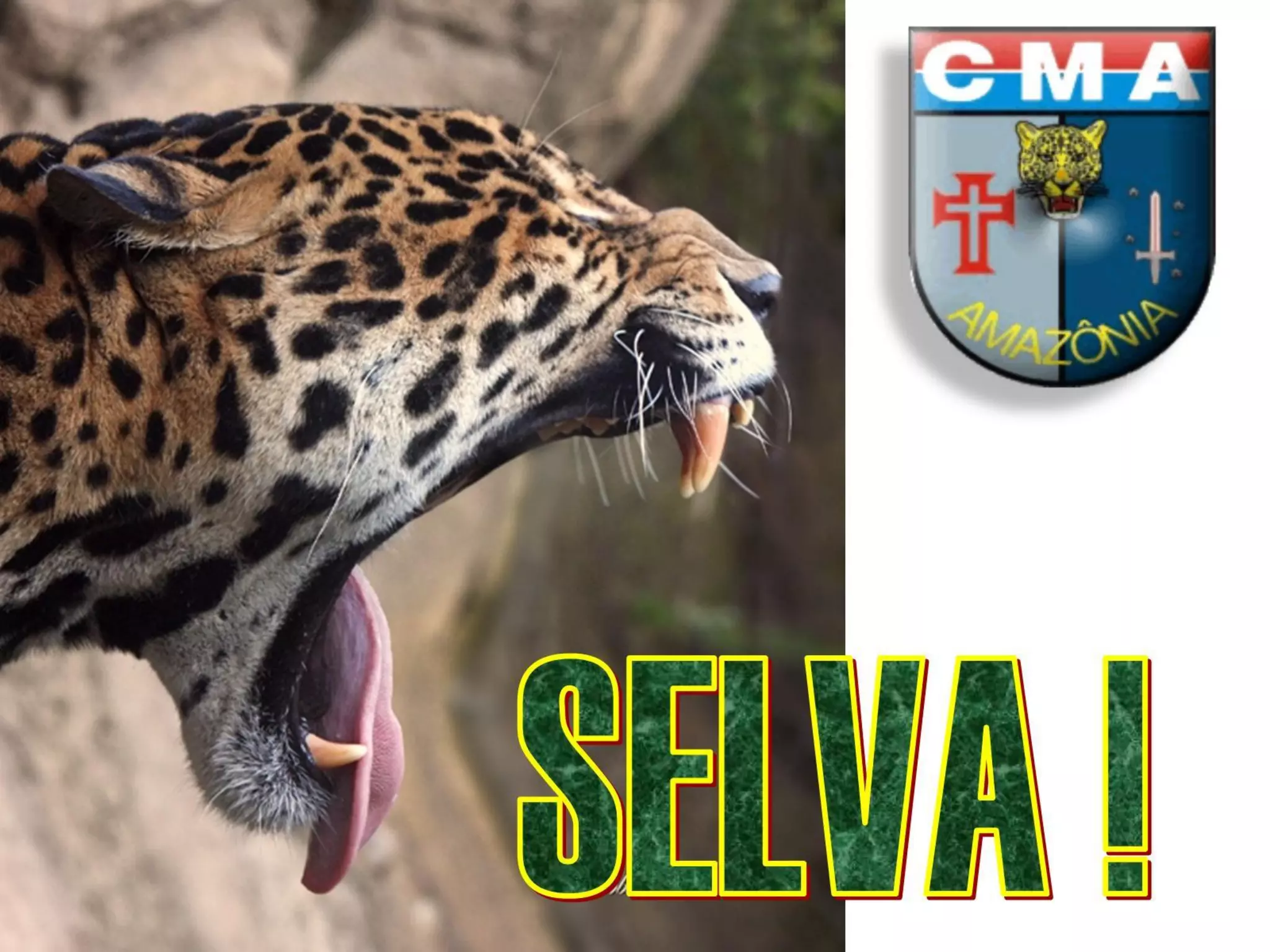 General Mário Antônio Ramos Antunes