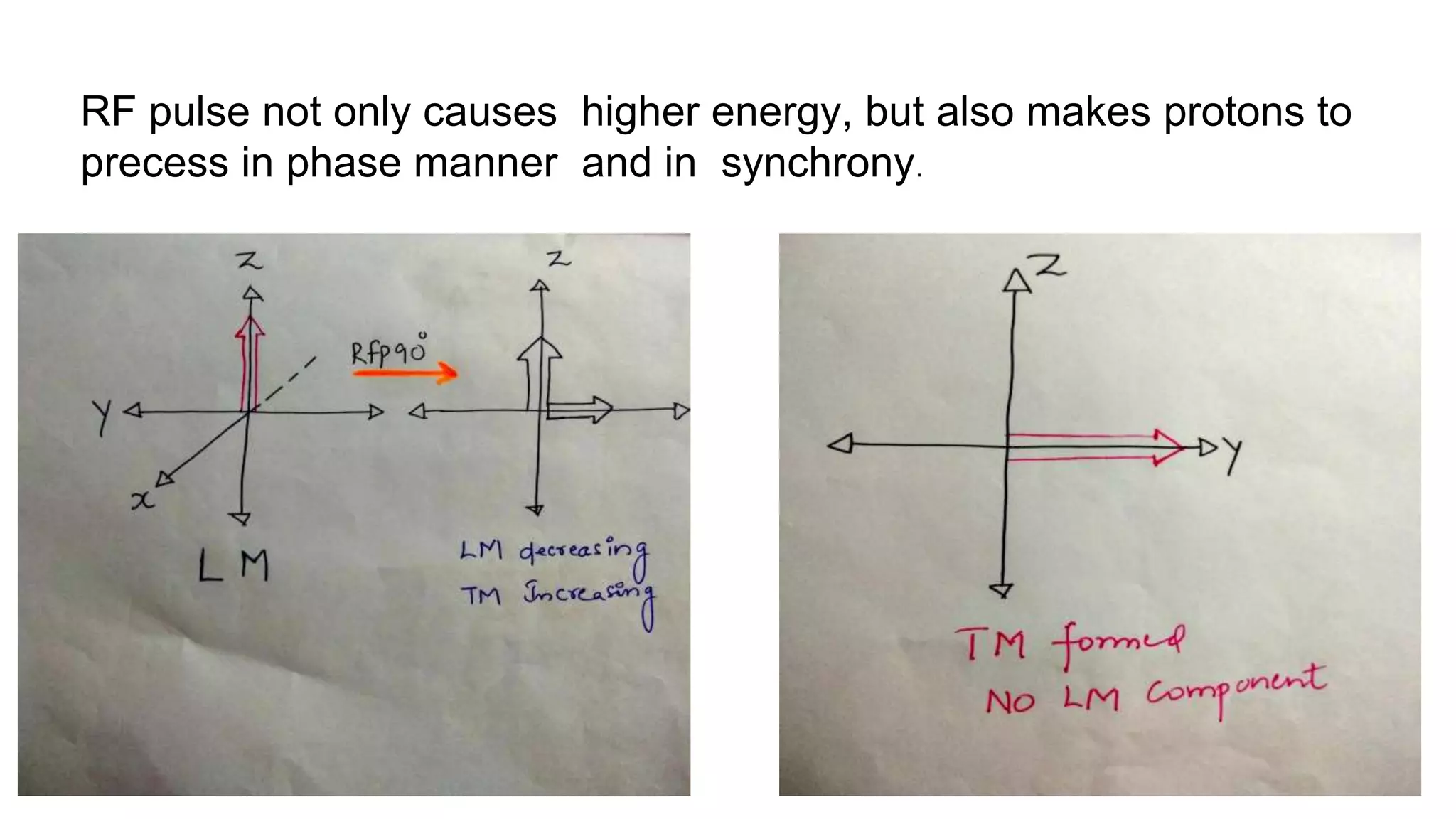 RF pulse not only causes higher energy, but also makes protons to
precess in phase manner and in synchrony.
 