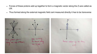  Forces of these protons add up together to form a magnetic vector along the Z axis called as
LM.
 Thus formed along the external magnetic field cant measured directly it has to be transverse
 