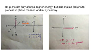 RF pulse not only causes higher energy, but also makes protons to
precess in phase manner and in synchrony.
 