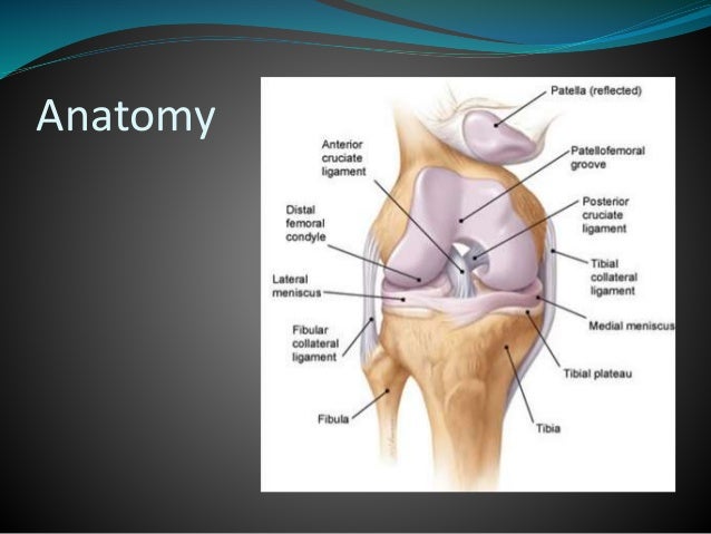 Mri of knee