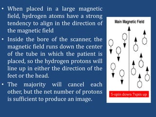 • When placed in a large magnetic
field, hydrogen atoms have a strong
tendency to align in the direction of
the magnetic field
• Inside the bore of the scanner, the
magnetic field runs down the center
of the tube in which the patient is
placed, so the hydrogen protons will
line up in either the direction of the
feet or the head.
• The majority will cancel each
other, but the net number of protons
is sufficient to produce an image.

5-spin down 7spin up

 
