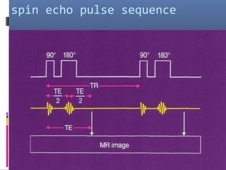 spin echo pulse sequence
 