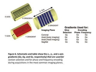 mri physics.pptx