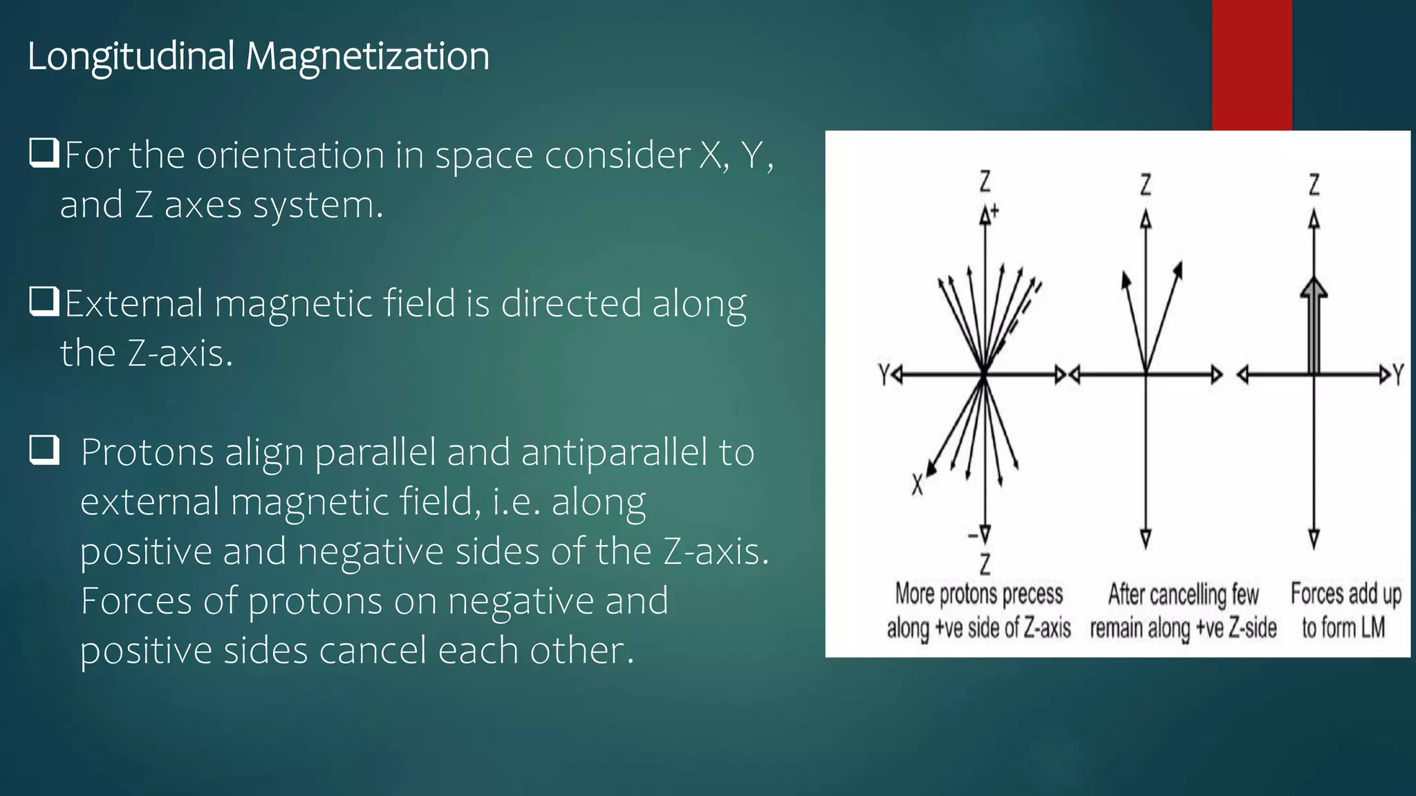 Longitudinal Magnetization
For the orientation in space consider X, Y,
and Z axes system.
External magnetic field is directed along
the Z-axis.
 Protons align parallel and antiparallel to
external magnetic field, i.e. along
positive and negative sides of the Z-axis.
Forces of protons on negative and
positive sides cancel each other.
 