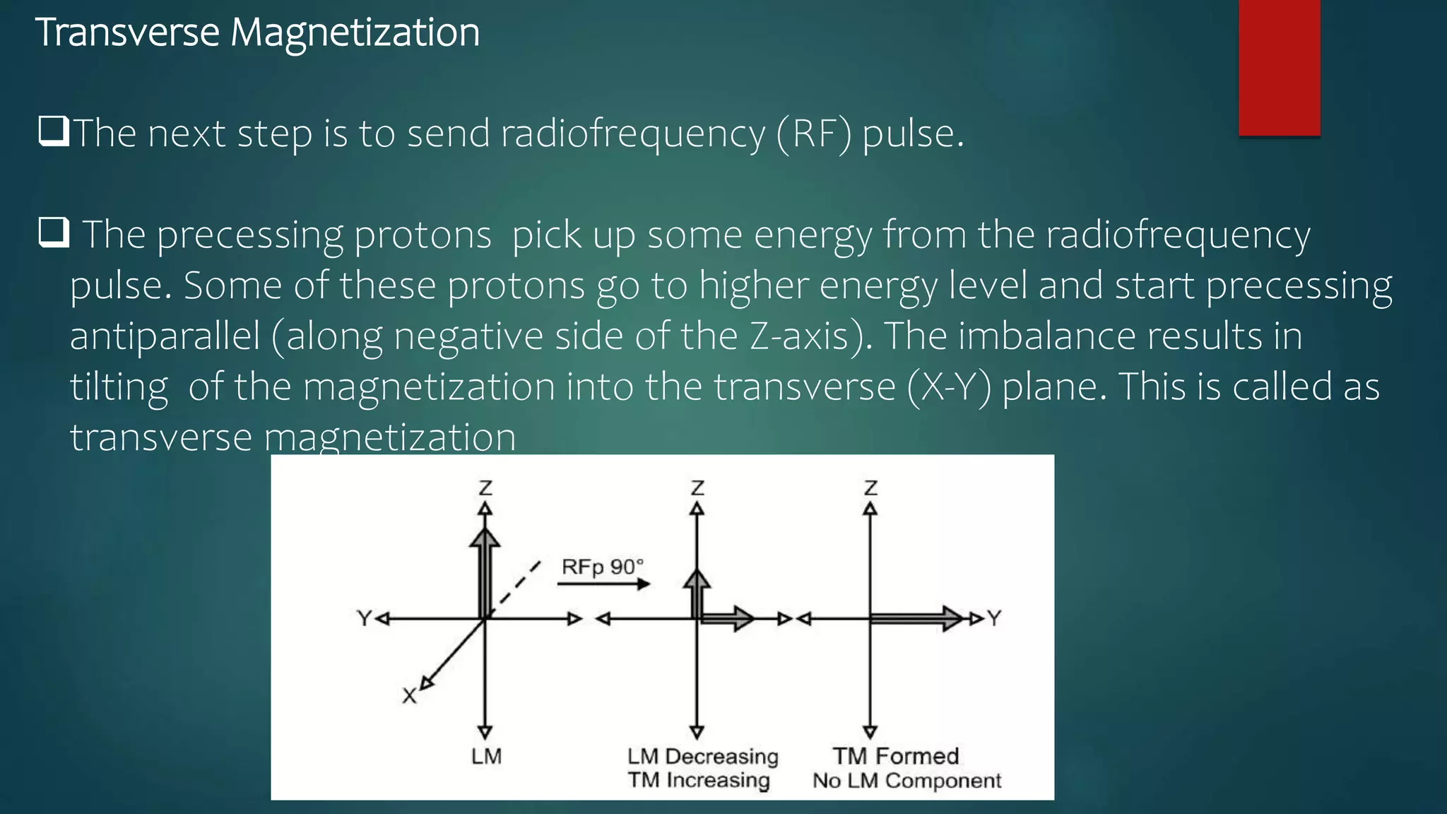 Transverse Magnetization
The next step is to send radiofrequency (RF) pulse.
 The precessing protons pick up some energy from the radiofrequency
pulse. Some of these protons go to higher energy level and start precessing
antiparallel (along negative side of the Z-axis). The imbalance results in
tilting of the magnetization into the transverse (X-Y) plane. This is called as
transverse magnetization
 