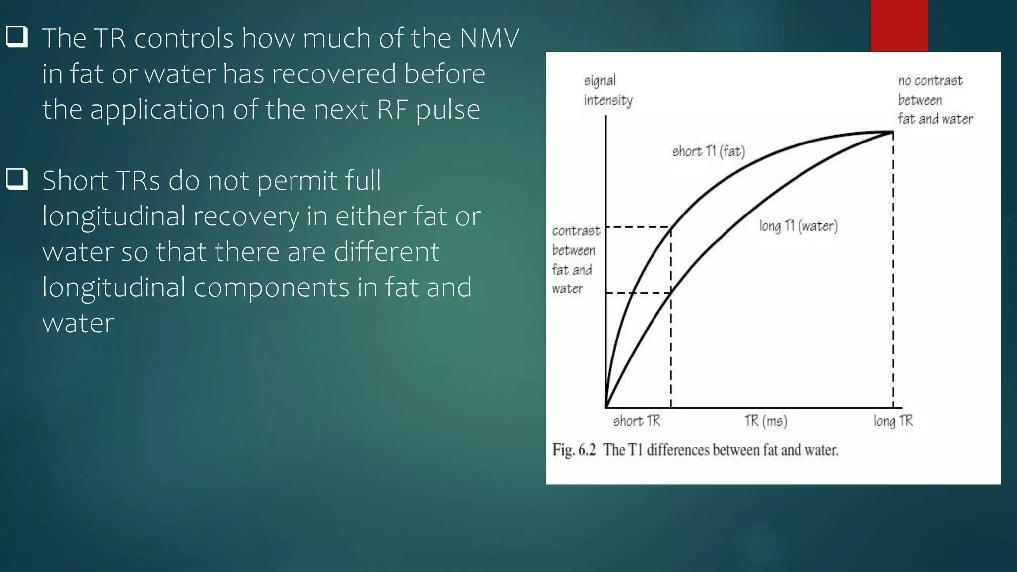 The TR controls how much of the NMV
in fat or water has recovered before
the application of the next RF pulse
 Short TRs do not permit full
longitudinal recovery in either fat or
water so that there are different
longitudinal components in fat and
water
 