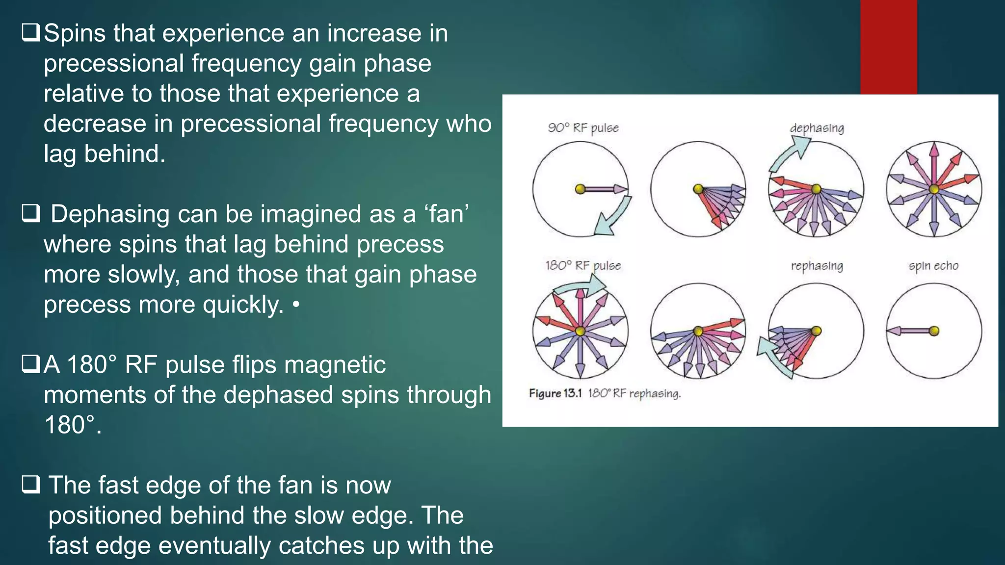 Spins that experience an increase in
precessional frequency gain phase
relative to those that experience a
decrease in precessional frequency who
lag behind.
 Dephasing can be imagined as a ‘fan’
where spins that lag behind precess
more slowly, and those that gain phase
precess more quickly. •
A 180° RF pulse flips magnetic
moments of the dephased spins through
180°.
 The fast edge of the fan is now
positioned behind the slow edge. The
fast edge eventually catches up with the
 
