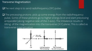 Transverse Magnetization
The next step is to send radiofrequency (RF) pulse.
 The precessing protons pick up some energy from the radiofrequency
pulse. Some of these protons go to higher energy level and start precessing
antiparallel (along negative side of the Z-axis). The imbalance results in
tilting of the magnetization into the transverse (X-Y) plane. This is called as
transverse magnetization
 
