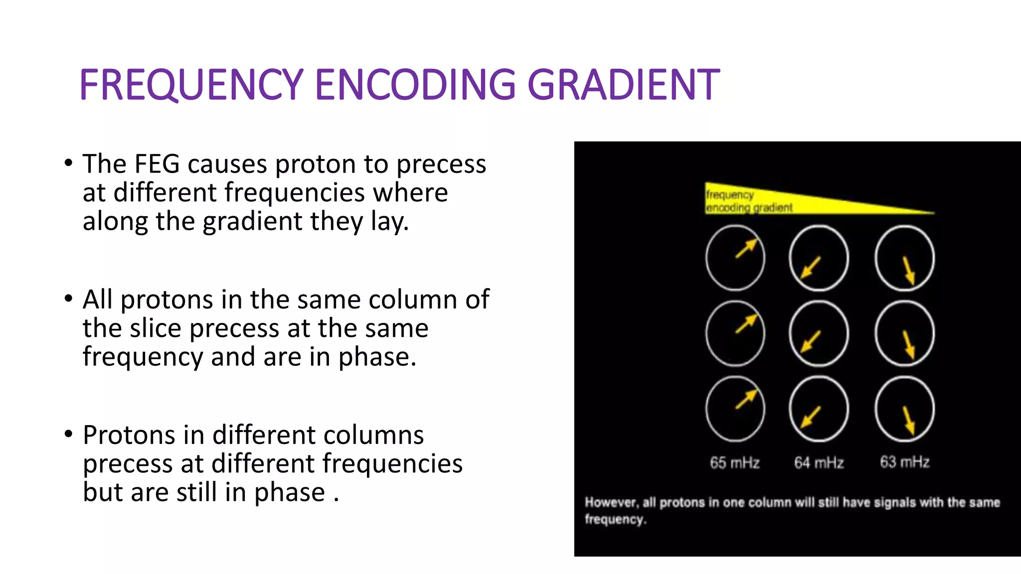 FREQUENCY ENCODING GRADIENT
• The FEG causes proton to precess
at different frequencies where
along the gradient they lay.
• All protons in the same column of
the slice precess at the same
frequency and are in phase.
• Protons in different columns
precess at different frequencies
but are still in phase .
 