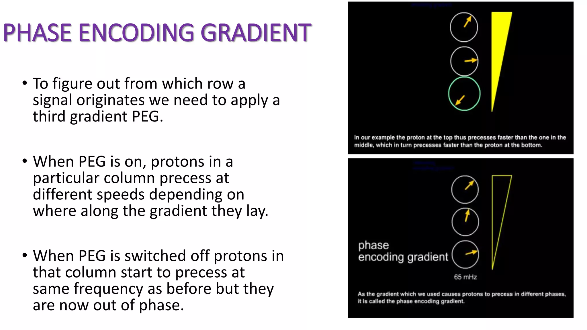 PHASE ENCODING GRADIENT
• To figure out from which row a
signal originates we need to apply a
third gradient PEG.
• When PEG is on, protons in a
particular column precess at
different speeds depending on
where along the gradient they lay.
• When PEG is switched off protons in
that column start to precess at
same frequency as before but they
are now out of phase.
 