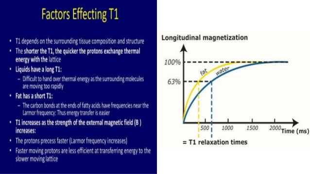 Basics of MRI Physics