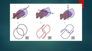 Mri Math MRI physics part 1: Basic principle by GKM | PPTX