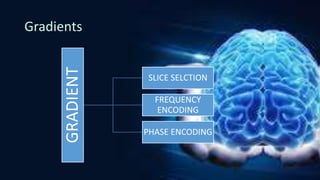 MRI Physics RV | PPTX