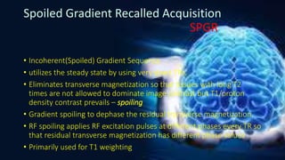 MRI Physics RV | PPTX