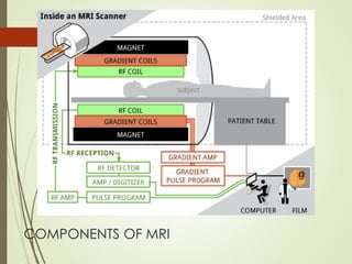 COMPONENTS OF MRI
 