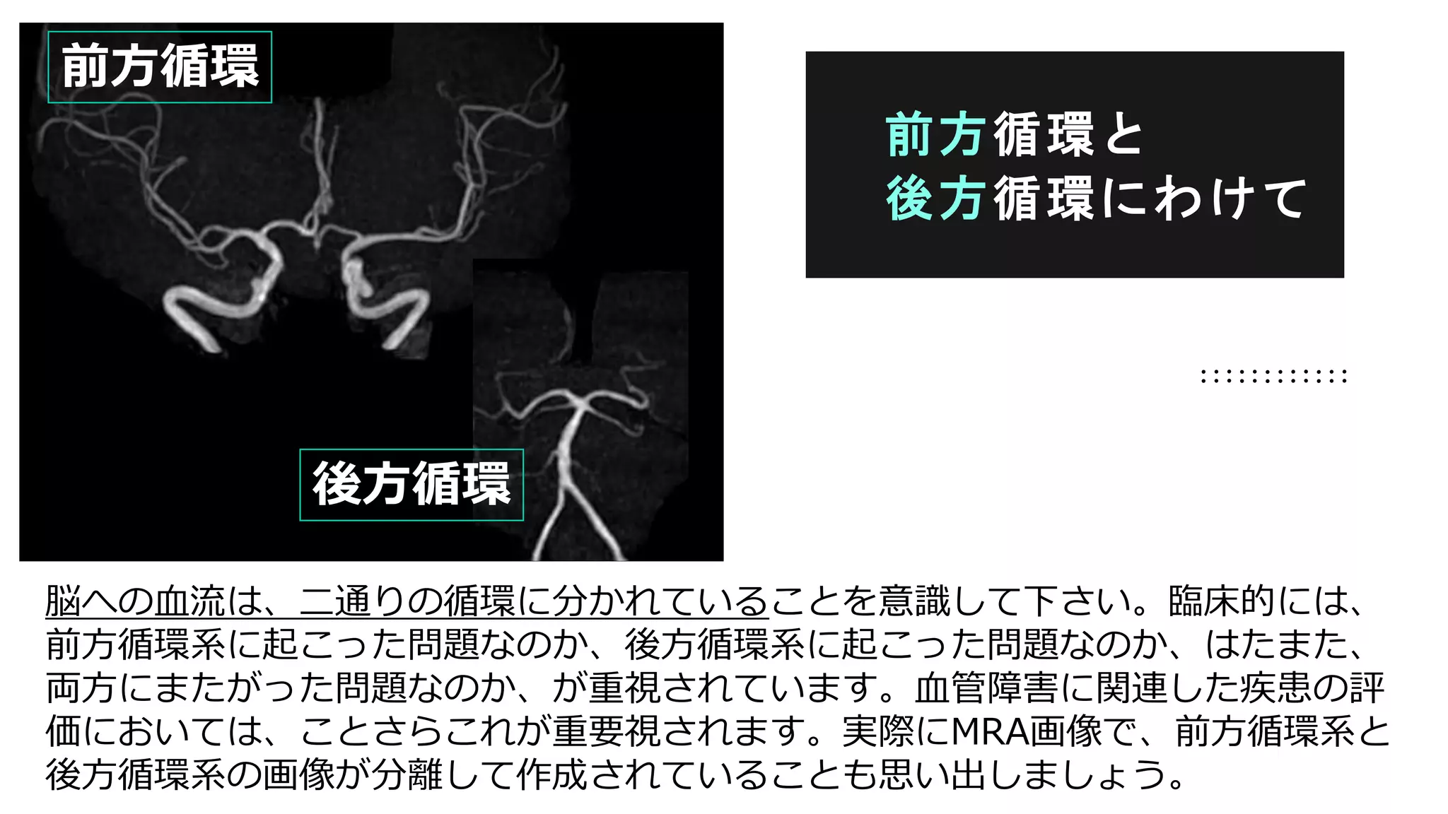 脳への血流は、二通りの循環に分かれていることを意識して下さい。臨床的には、
前方循環系に起こった問題なのか、後方循環系に起こった問題なのか、はたまた、
両方にまたがった問題なのか、が重視されています。血管障害に関連した疾患の評
価においては、ことさらこれが重要視されます。実際にMRA画像で、前方循環系と
後方循環系の画像が分離して作成されていることも思い出しましょう。
前方循環と
後方循環にわけて
前方循環
後方循環
 