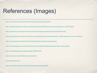 References (Images)
http://www.magnet.fsu.edu/education/tutorials/magnetacademy/mri/fullarticle.html

http://occlusionconnections.com/TMJ/wp-content/uploads/2012/03/MRI-TMJ-Occlusion-Connections-Clayton-A.-Chan-DDS-9.png

http://classes.soe.ucsc.edu/cmps161/Winter10/projects/projects/upopov/images/general/whiteGreyMatterT1-1.jpg

http://lcni.uoregon.edu/~dow/Space_software/Space_documentation/Volume_segmentation/Inner_ear_MRI/renderings/L_inner_ear_T2_slices.png

http://www.magnet.fsu.edu/education/tutorials/magnetacademy/mri/images/mri-brainslices.jpg

http://info.blockimaging.com/Portals/21795/images/H--Alicia%20Wiklund-HubSpot-Blogs-Open_MRI_vs_Closed_MRI.jpg

http://www.tribbleassociates.com/Images/Upright%20MRI%202.JPG

http://www.ehow.com/list_6106146_reasons-mri-brain.html

www.yalemedicalgroup.org

http://medcastaway.edublogs.org/files/2011/03/cerebral-hemorrhage-mjkqx4.JPG

 
