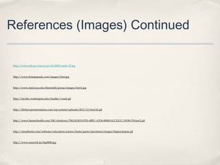 References (Images) Continued
http://www.nih.gov/news/pr/dec2005/nimh_07.jpg

http://www.brianjogrady.com/images/fmri.jpg

http://www.med.nyu.edu/thesenlab/group/images/fmri1.jpg

http://faculty.washington.edu/chudler/vessel.gif

http://lifebyexperimentation.com/wp-content/uploads/2011/12/fmri.h2.gif

http://www.bannerhealth.com/NR/rdonlyres/7062ADED-D701-4BEC-A3D4-0856EACC21CC/18190/Picture2.gif

http://morphonix.com/software/education/science/brain/game/specimens/images/hippocampus.gif

http://www.neuro24.de/hip0006.jpg

 