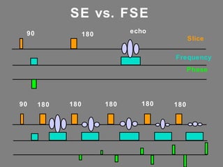 SE vs. FSE Slice Frequency Phase 90 180 echo 90 180 180 180 180 180 