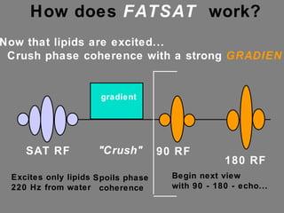 How does  FATSAT   work?  Now that lipids are excited... Crush phase coherence with a strong  GRADIENT! SAT RF "Crush" 90 RF 180 RF gradient Excites only lipids  220 Hz from water Spoils phase coherence Begin next view with 90 - 180 - echo... 