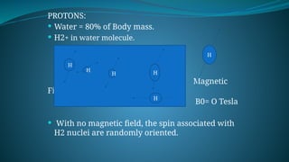 PROTONS:
 Water = 80% of Body mass.
 H2+ in water molecule.
Magnetic
Field
B0= O Tesla
 With no magnetic field, the spin associated with
H2 nuclei are randomly oriented.
H
H
H H
H
H
 